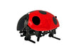 Intelligent DIY Lady Bug Robot Kit (2.4GHz)