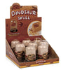 Dig and Display Dinosaur Skull