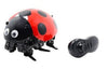 Intelligent DIY Lady Bug Robot Kit (2.4GHz)