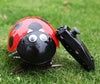 Intelligent DIY Lady Bug Robot Kit (2.4GHz)