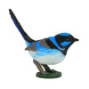 Science and Nature | Small Blue Wren