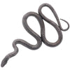 Science and Nature|  Brown Snake Large