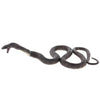 Science and Nature|  Brown Snake Large