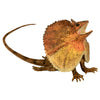 Science and Nature | Frill Necked Lizard Large