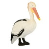 Science and Nature | Small Pelican