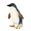 Science and Nature | Penguin Small