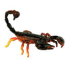 Science and Nature | Scorpion Small