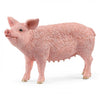 Schleich | Pig