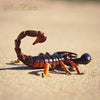 Science and Nature | Scorpion Small