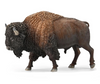 CollectA | American Bison