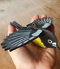 Flap! Toys | Tom Tit Miromiro