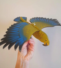 Flap! Toys | Kea Mini