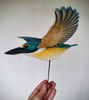 Flap! Toys | Kōtare/Sacred Kingfisher