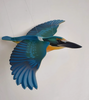 Flap! Toys | Kōtare/Sacred Kingfisher