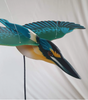 Flap! Toys | Kōtare/Sacred Kingfisher