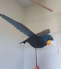 Flap! Toys | Huia
