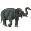 CollectA | Asian Elephant