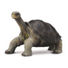 CollectA | Pinta Island Tortoise