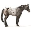 CollectA | Appaloosa Blue Roan