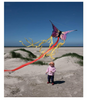 HQ |Single Line Kite Butterfly 52 cm