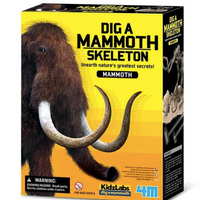 4M | Dig a Mammoth Skeleton