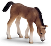 Schleich | Arabian Foal, grazing