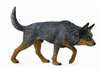 CollectA | Australian Cattle Dog