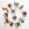 CollectA | Box Of 12 Mini Insects & Spiders