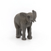 Papo | Young Elephant