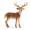 Schleich | White-tailed buck