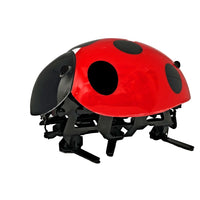 Intelligent DIY Lady Bug Robot Kit (2.4GHz)