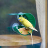 Hape | Window Bird Feeder