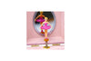 Pink Poppy | Ballerina Boutique Small Musical Jewellery Box