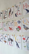 Te Reo ABC Wall Frieze