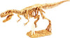 Discover Science | T-Rex Excavation Kit