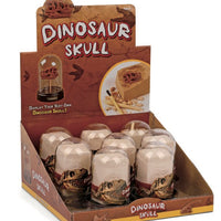 Dig and Display Dinosaur Skull