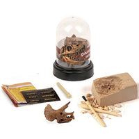 Dig and Display Dinosaur Skull