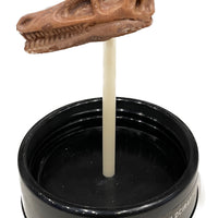 Dig and Display Dinosaur Skull