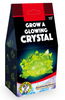 Discover Science | Grow a Glowing Crystal