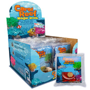 Science and Nature | Coral Reef Magic Rock