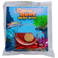 Science and Nature | Coral Reef Magic Rock