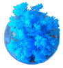 Science and Nature | Coral Reef Magic Rock