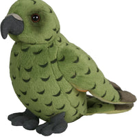 Antics | Kea Sound Bird