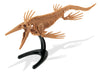 Dr. Steve Hunters | Mosasaurus Skeleton