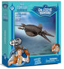 Dr. Steve Hunters | Ichthyosaurus Skeleton