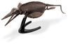 Dr. Steve Hunters | Ichthyosaurus Skeleton