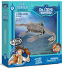 Dr. Steve Hunters | Elasmosaurus Skeleton