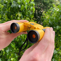 Safari Binoculars