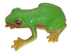 Science and Nature | Red Eyed Green Tree Frog