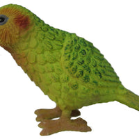 Science and Nature | Kākāpō
